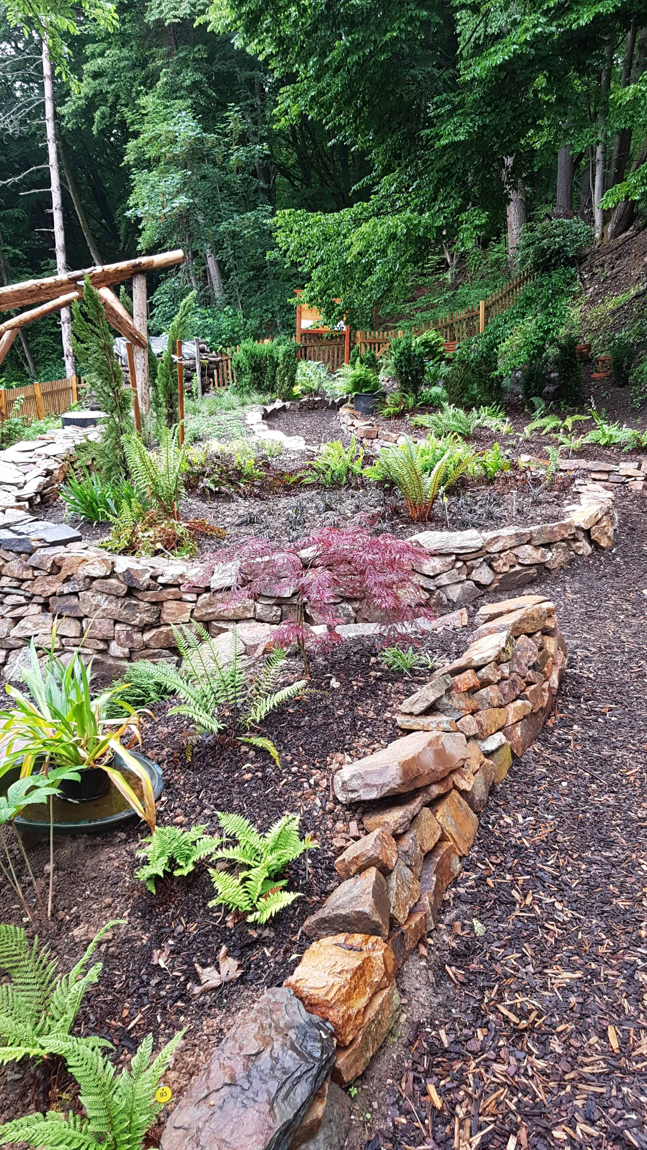 Farngarten Schlangenbad – Blick auf die terrassierten Beete